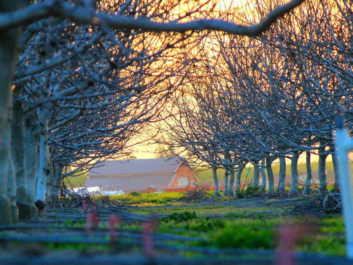 Australia: Coast & Outback — 5