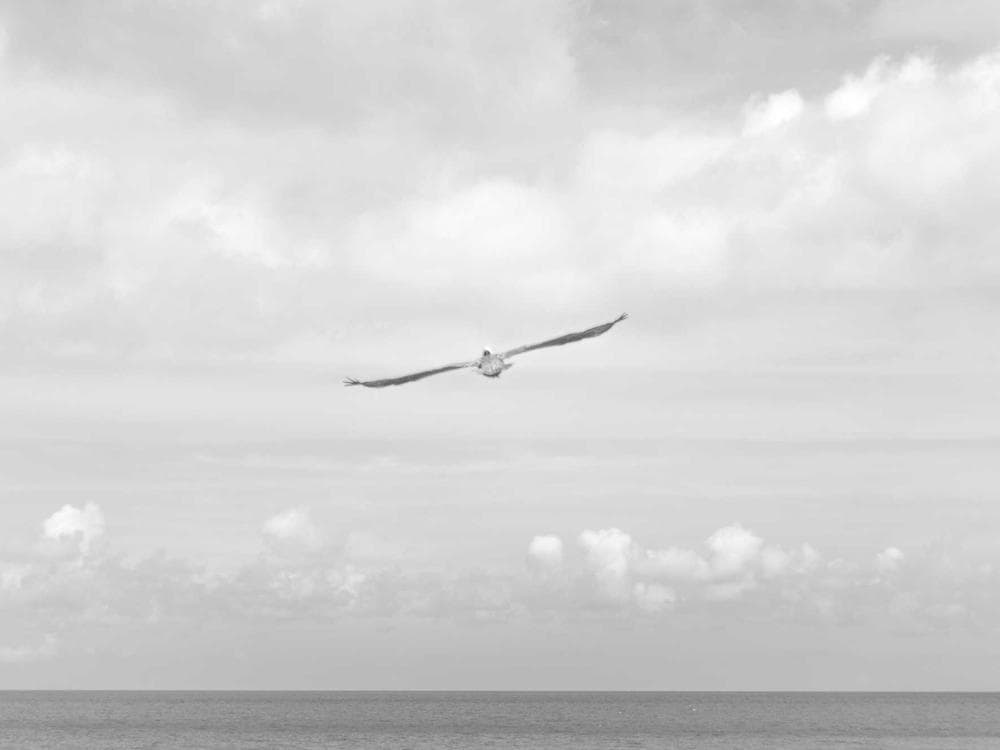Elif Demir — 3