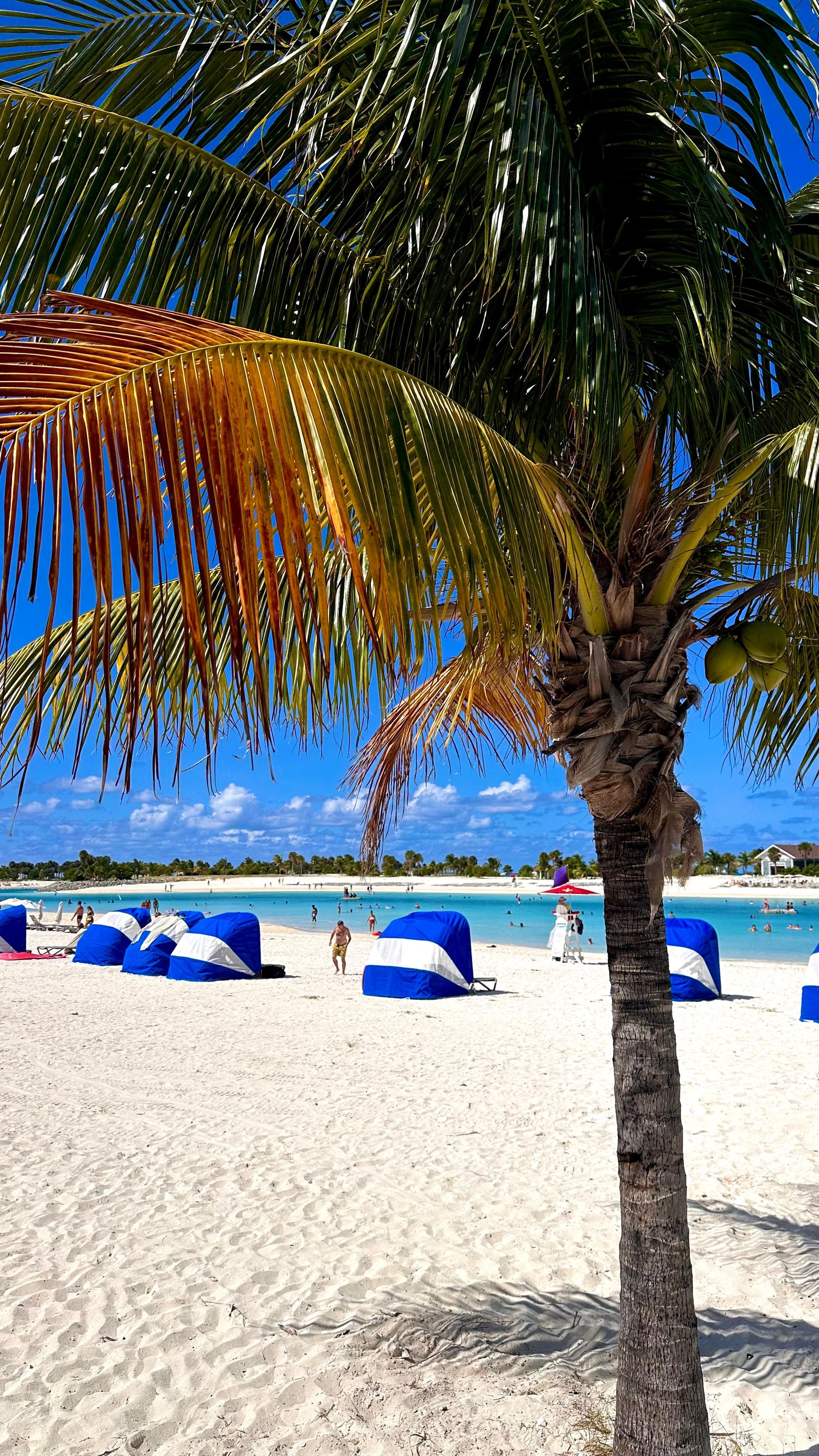 Miami Bahamalar Karayipler Cruise Turu