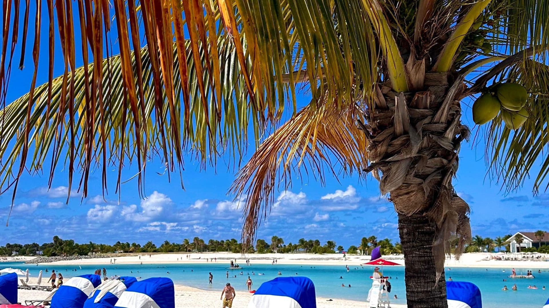 Miami Bahamalar Karayipler Cruise Turu