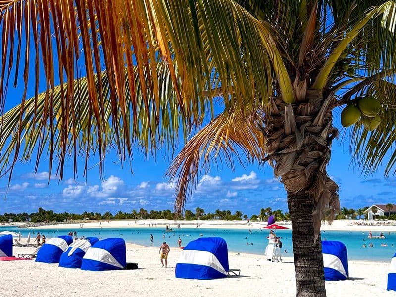 Miami Bahamalar Karayipler Cruise Turu
